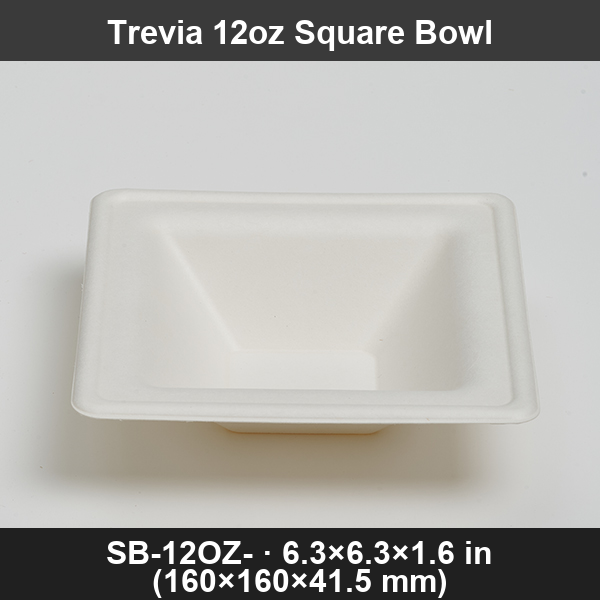 Trevia 12oz Square Sugarcane Bowl — Durable, Heavy-Duty Disposable Bowl for Sides, Small Salads, and