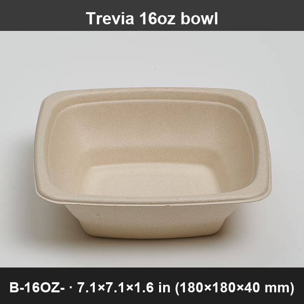 Trevia 16oz Square Sugarcane Take-Out Bowl — Durable, Heavy-Duty Disposable Bowl for Sides, Small Sa